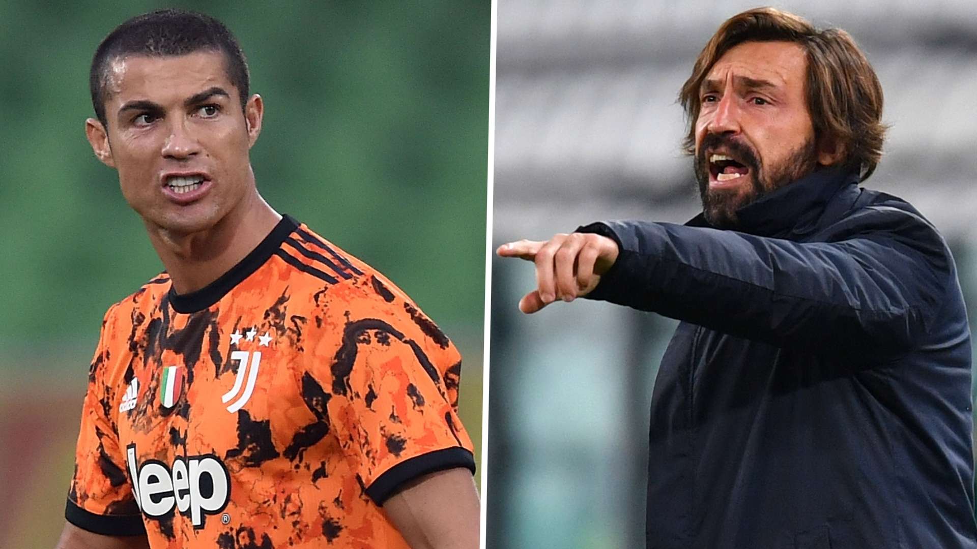 能进行快速 能进行快速